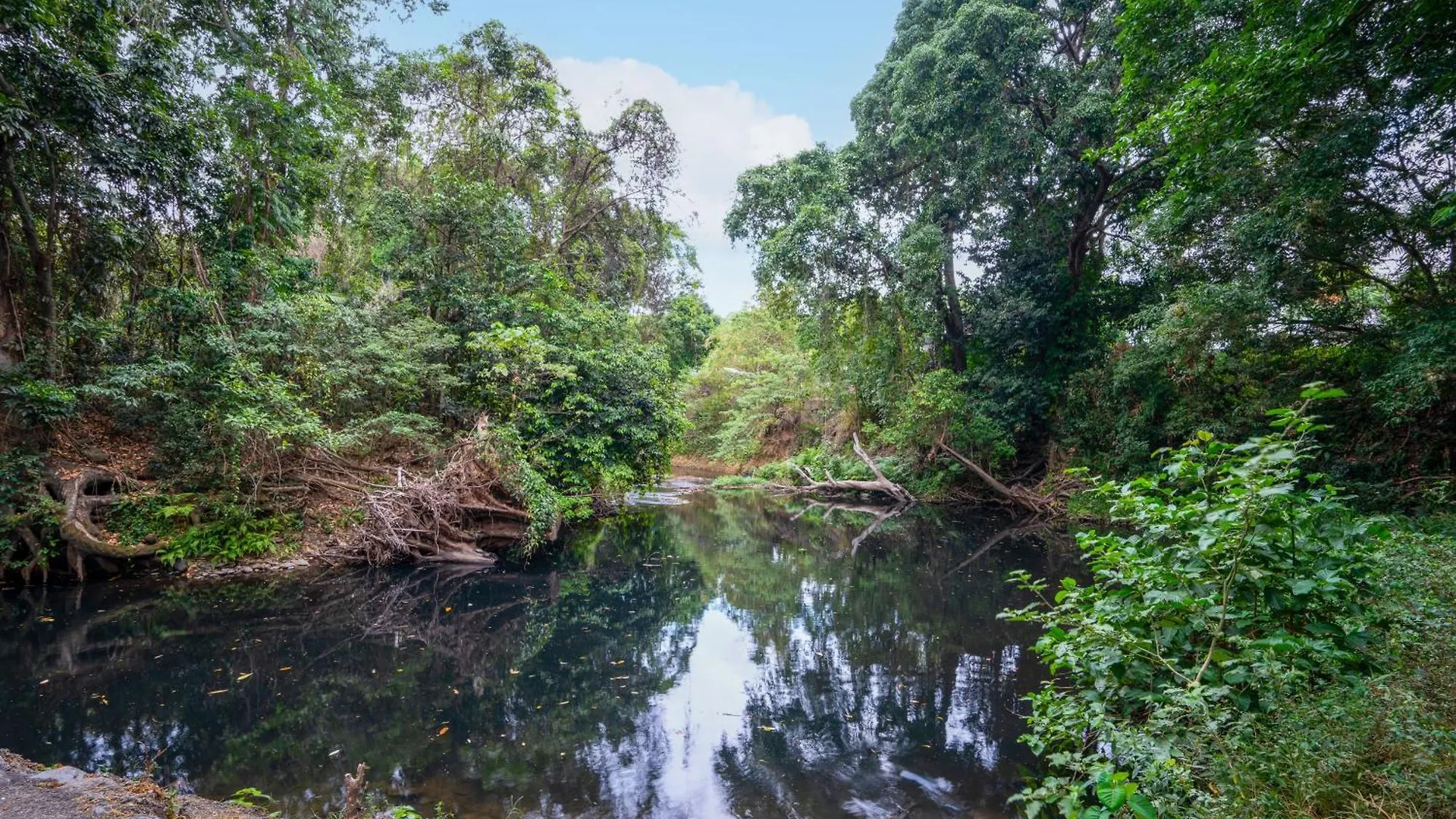Tasman Holiday Parks - Cairns Cool Waters Campsite