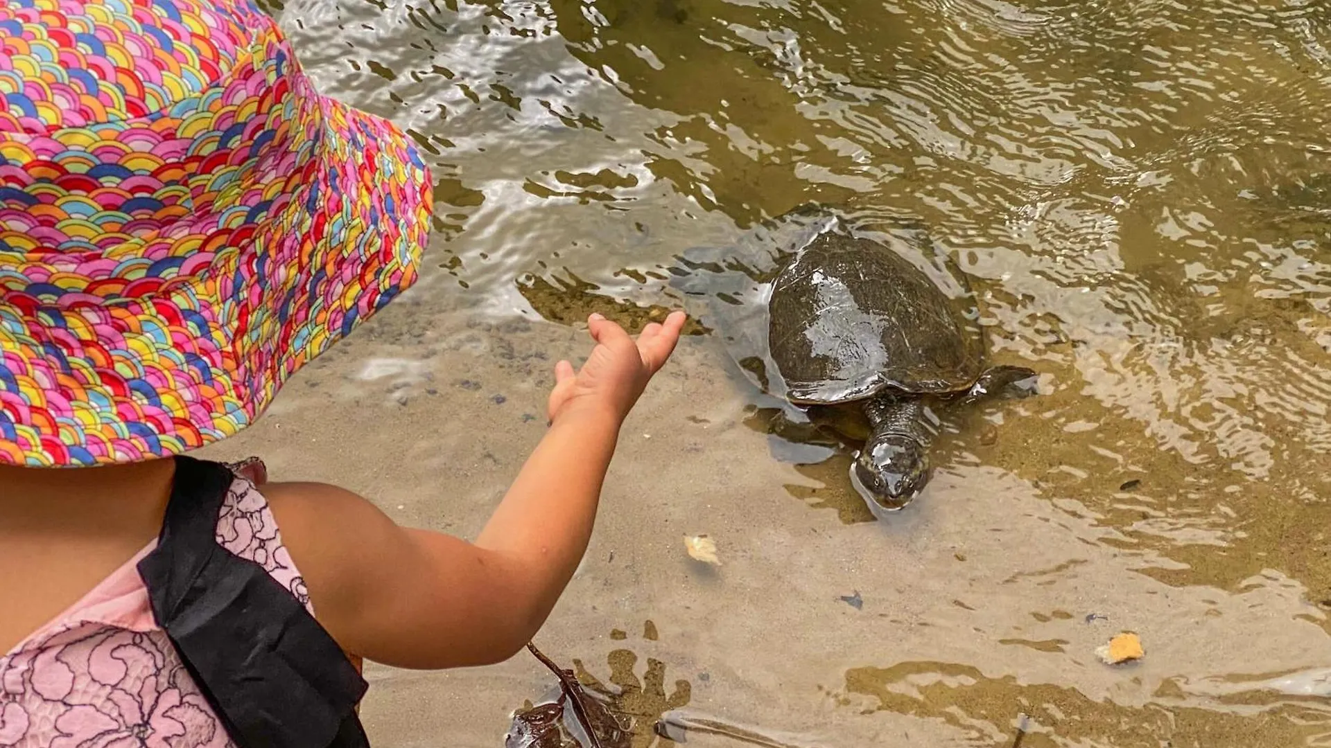 Campsite Tasman Holiday Parks - Cairns Cool Waters